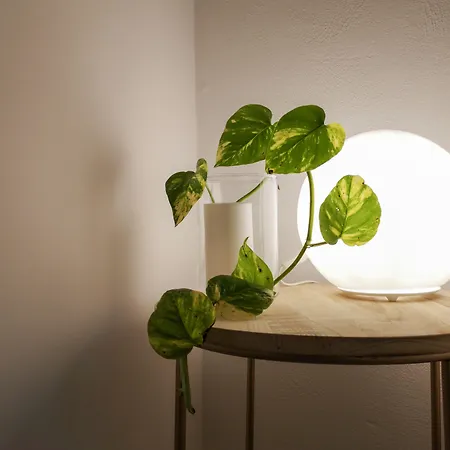 Nocleg ze śniadaniem Civico13